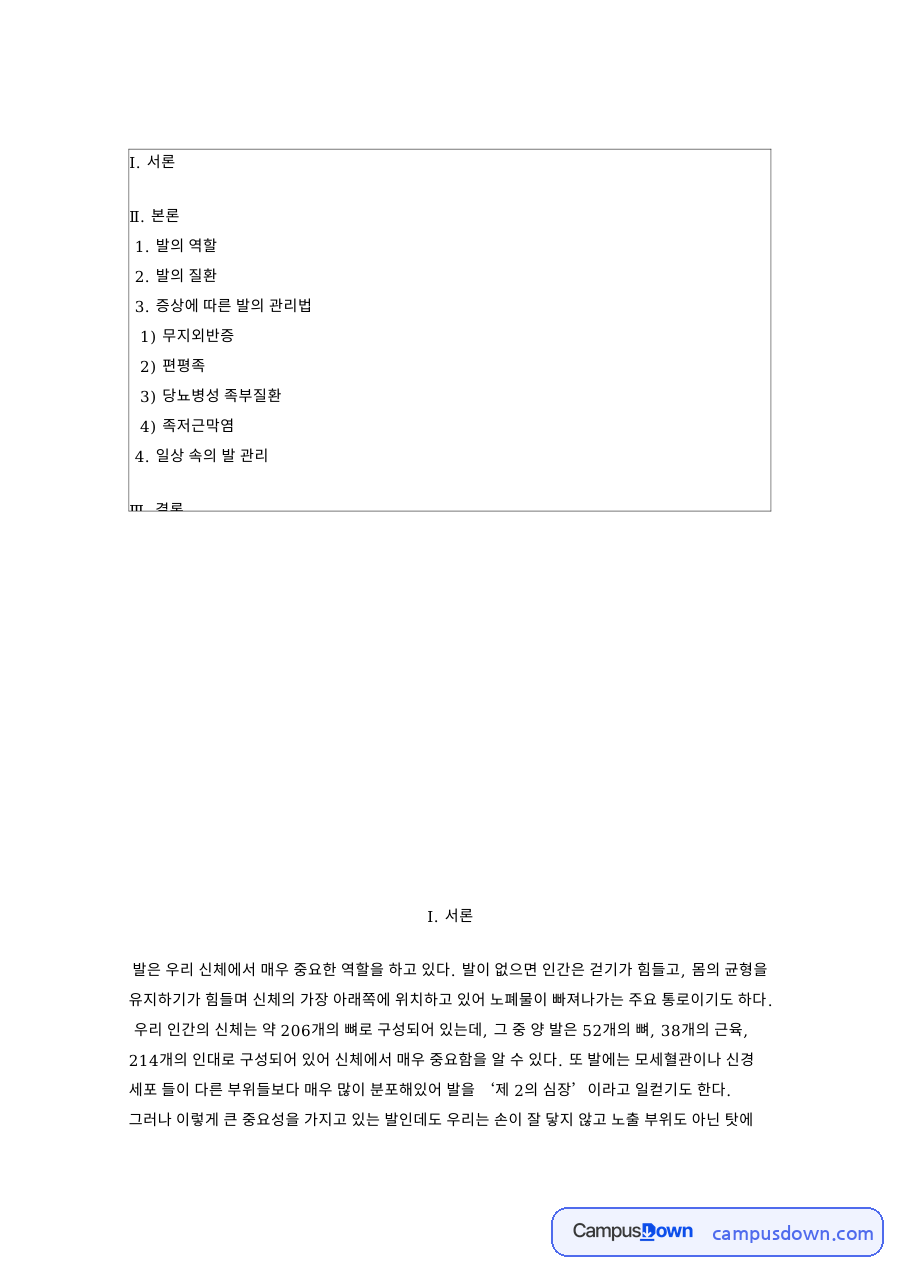 무지외반증과 증상에 따른 발의 관리법과 당뇨병성 족부질환 자료의 첫 페이지 미리보기