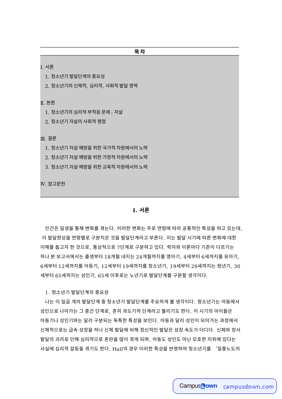 청소년기 발달단계의 중요성 핵심 개념과 주요 내용 정리 자료의 첫 페이지 미리보기
