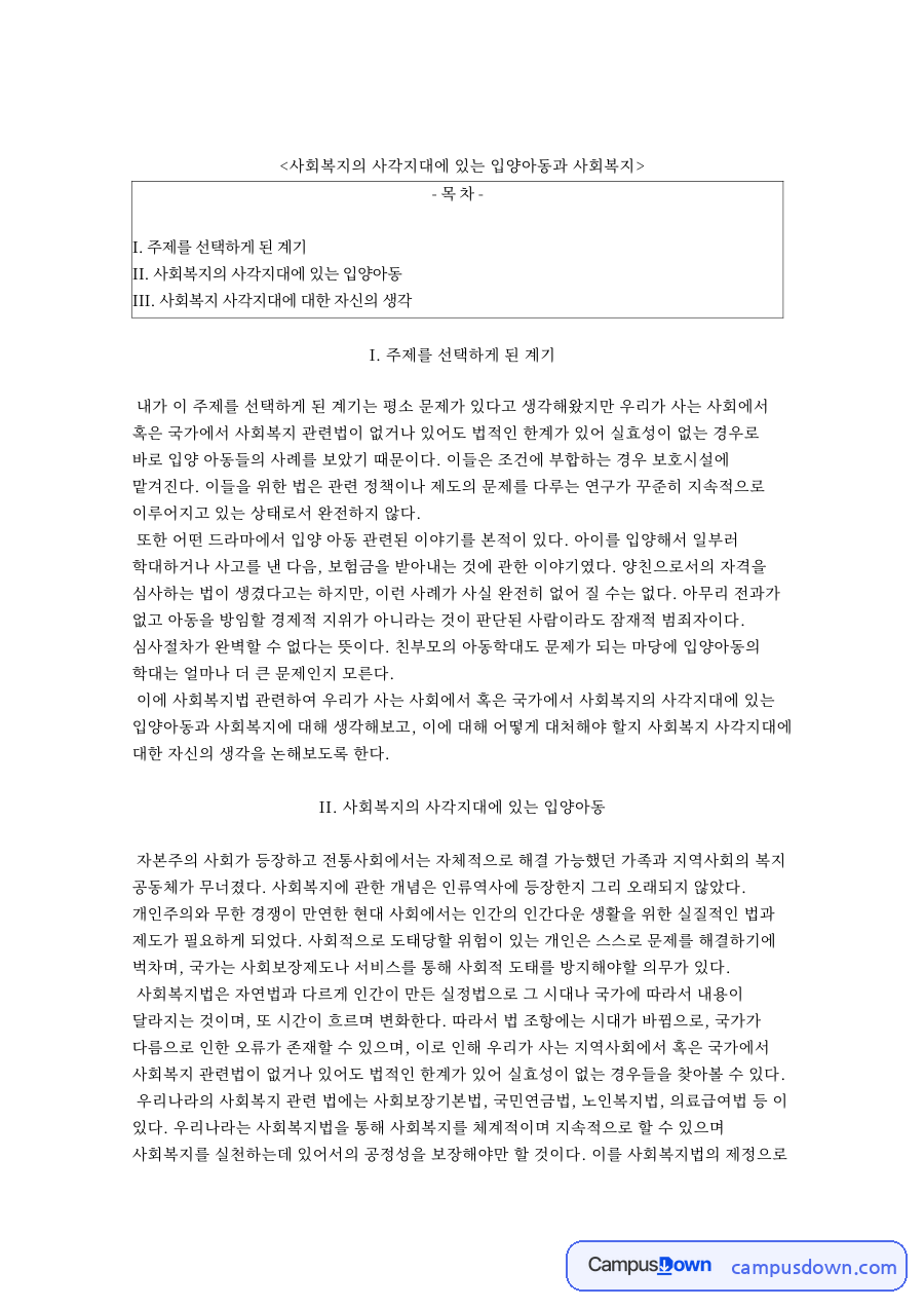 사회복지의 사각지대에 있는 입양아동과 사회복지 핵심 내용 요약 정리 자료의 첫 페이지 미리보기