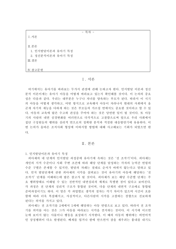 인지발달이론으로 본 유아기 발달 특징 미리보기 1페이지