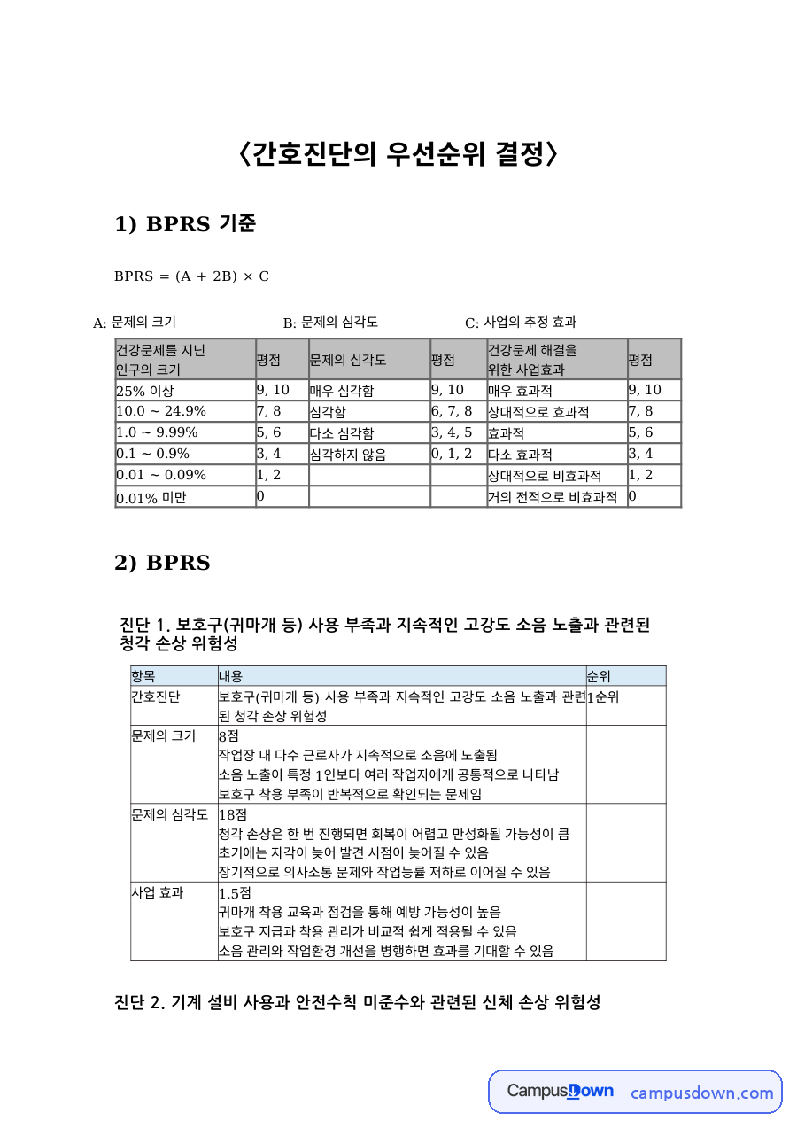 산업간호 BPRS 간호진단 우선순위 결정 척도표 요약본 자료의 첫 페이지 미리보기