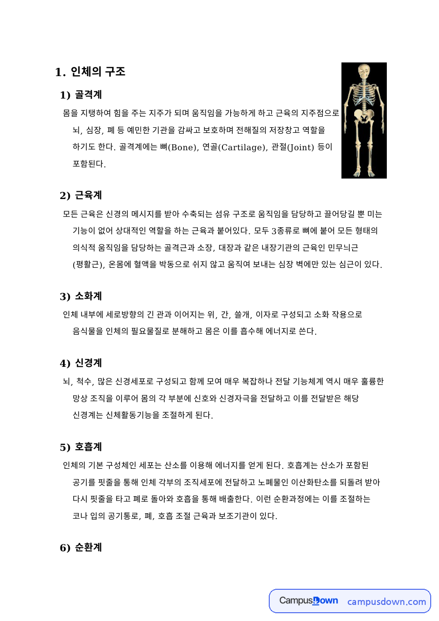 인체의 구조: 관절·뼈의 중심 핵심 내용 정리 자료의 첫 페이지 미리보기