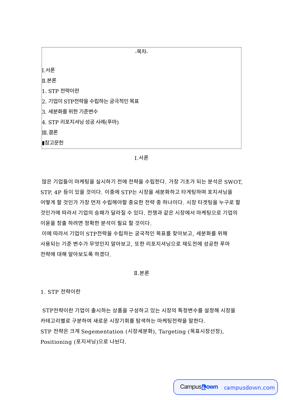 STP 전략 – 시장세분화·목표시장선정·포지셔닝과 세분화 기준변수 자료의 첫 페이지 미리보기