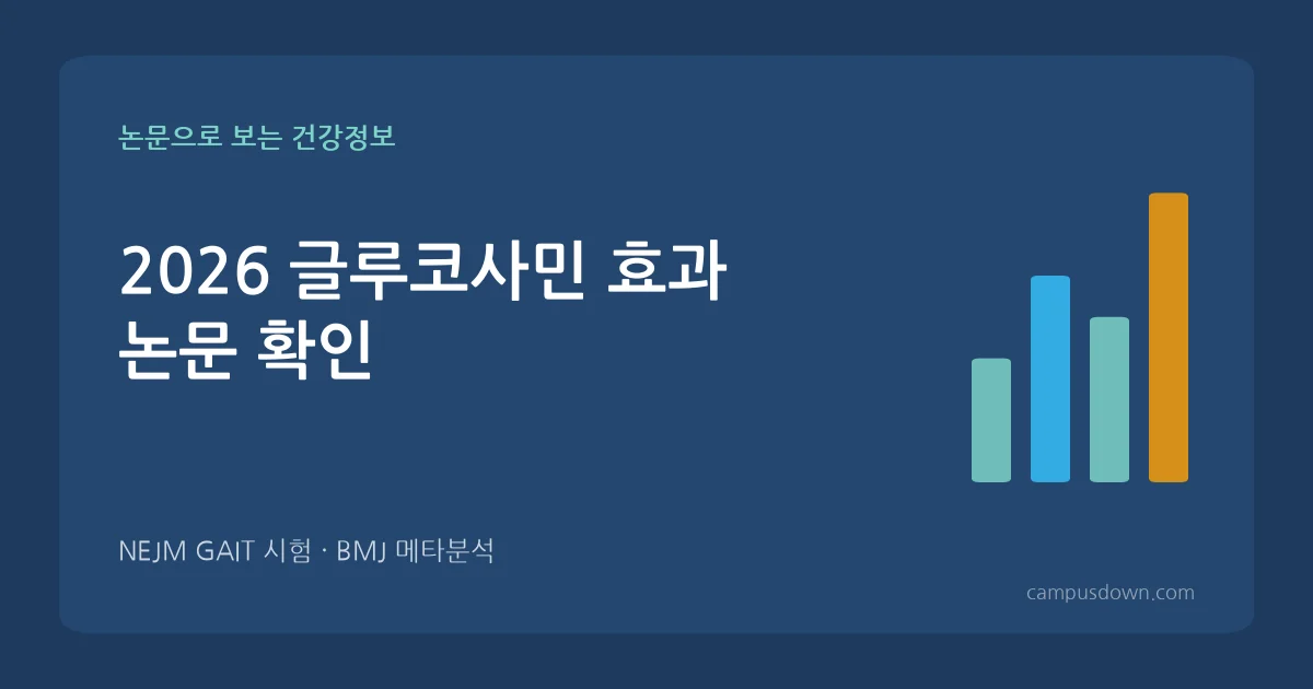 글루코사민 효과 논문 확인: 콘드로이친·MSM 비교, 황산염·염산염 차이, 부작용 (2026)