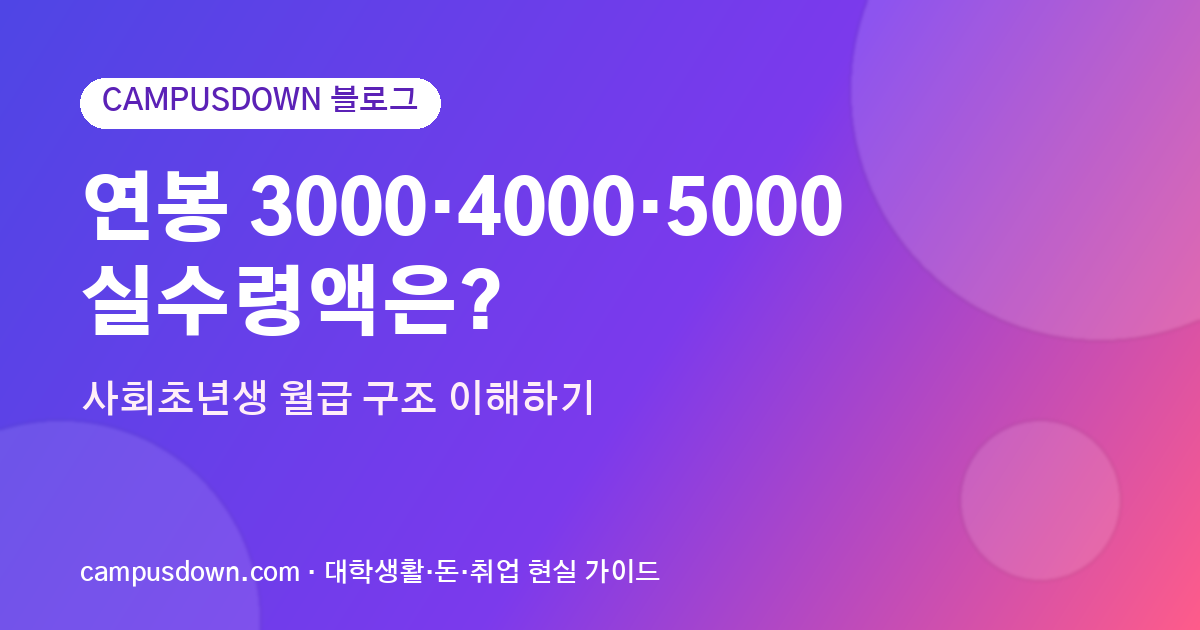 연봉 3000·4000·5000 실수령액은? 사회초년생 월급 구조 이해하기