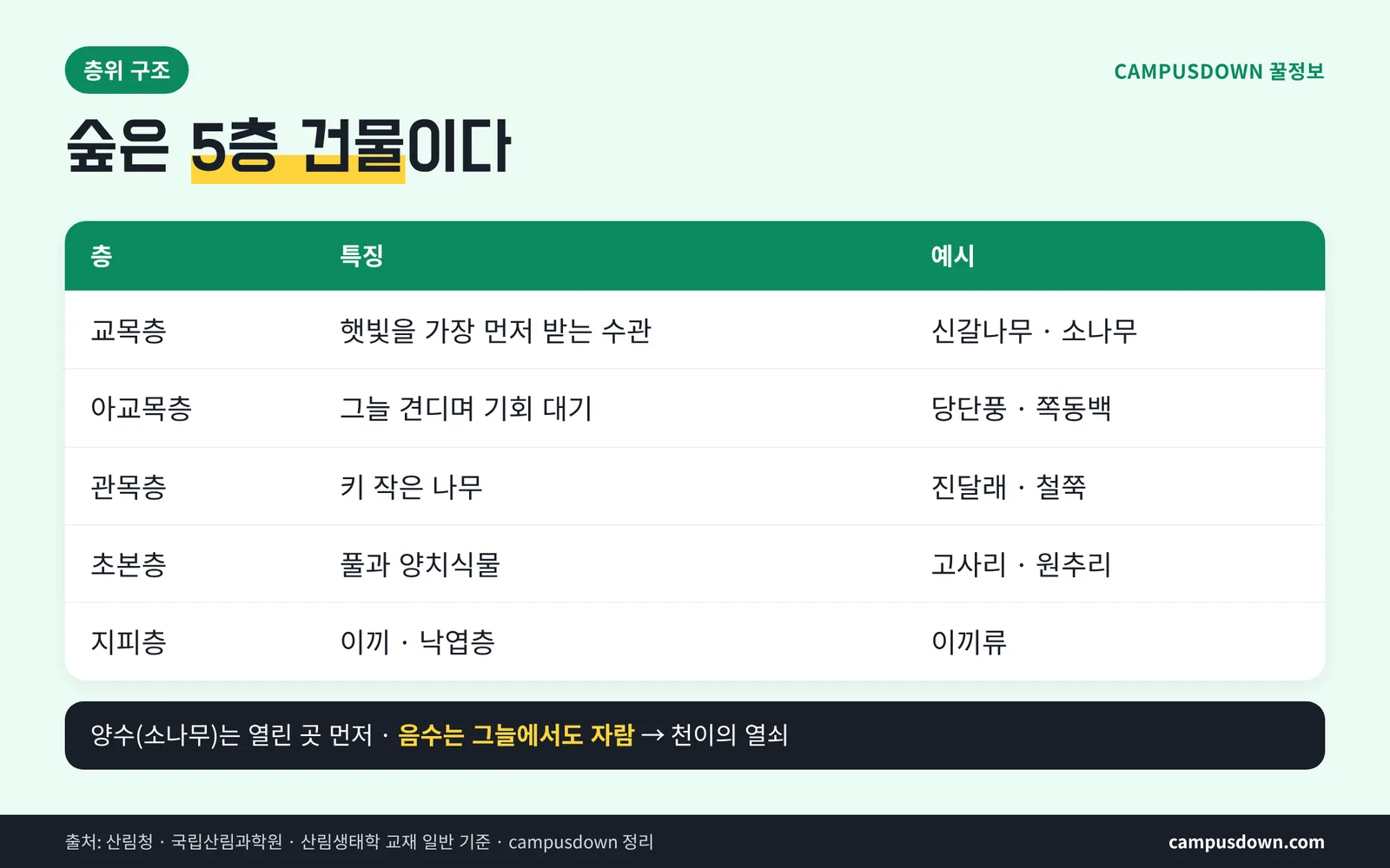 산림 층위 구조 교목층 아교목층 관목층 초본층 지피층 빛과 양수 음수