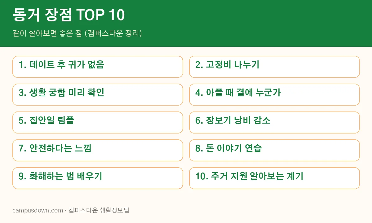 동거 장점 TOP 10 인포그래픽
