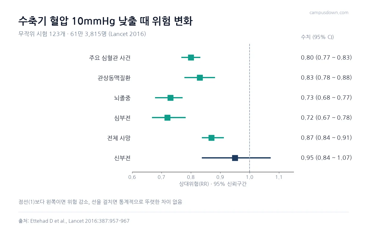 수축기 혈압 10mmHg 감소당 주요 심혈관 사건 0.80, 관상동맥질환 0.83, 뇌졸중 0.73, 심부전 0.72, 전체 사망 0.87, 신부전 0.95의 상대위험을 보여 주는 포리스트 그래프