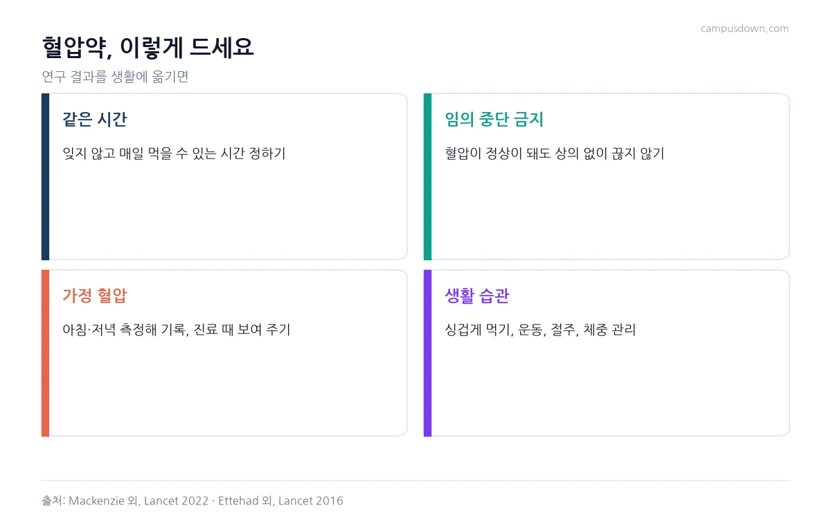 혈압약 복용 시 같은 시간 복용, 임의 중단 금지, 가정 혈압 측정, 생활 습관 관리를 정리한 인포그래픽