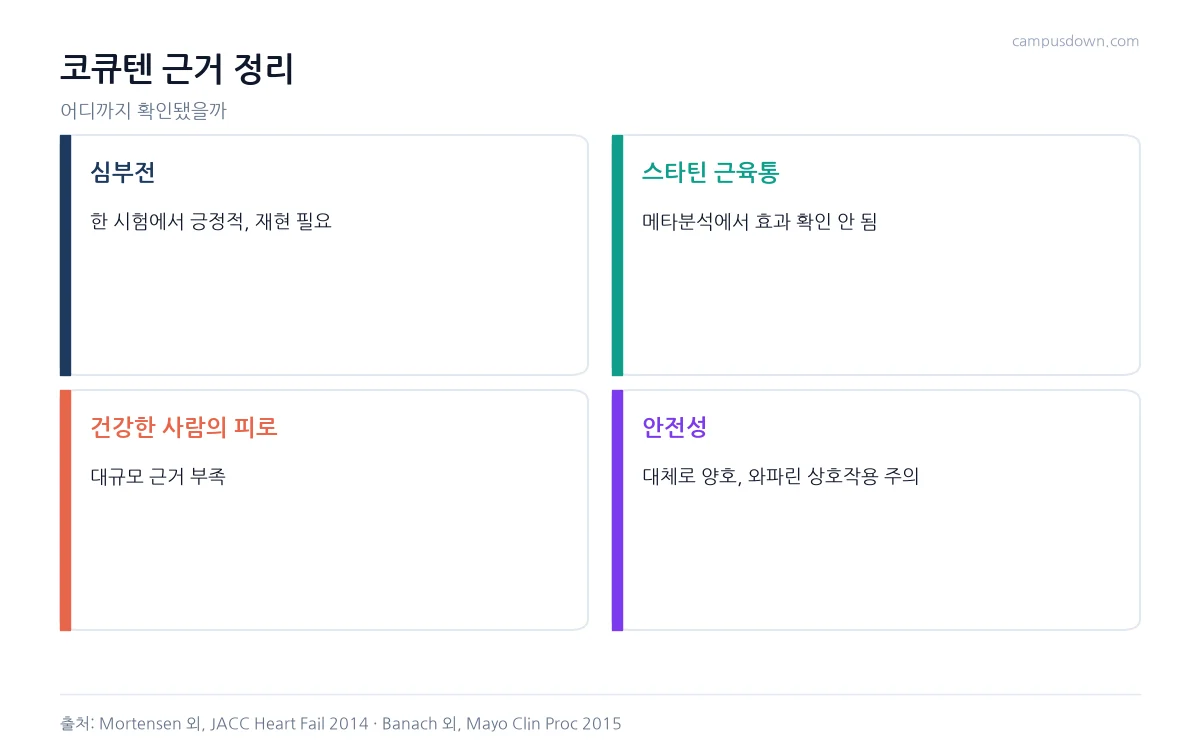 코큐텐의 심부전, 스타틴 근육통, 건강한 사람 피로, 안전성에 대한 근거 수준을 정리한 인포그래픽
