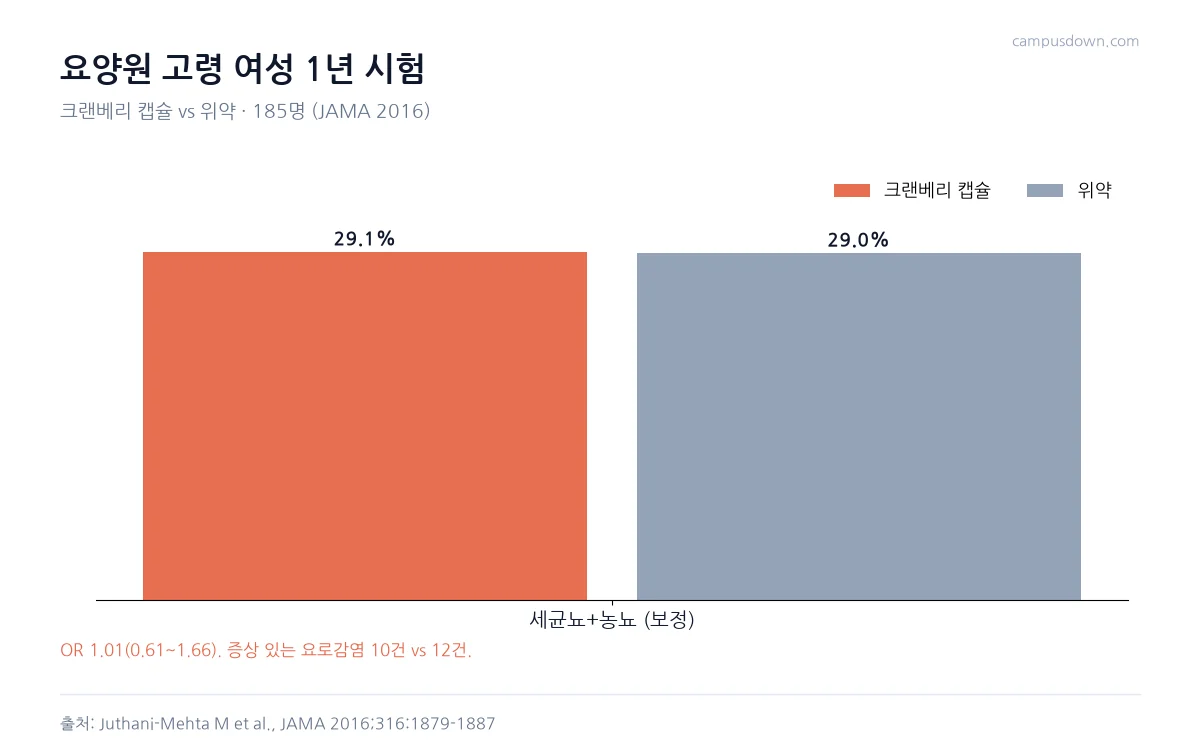 JAMA 2016 시험에서 요양원 고령 여성의 세균뇨와 농뇨 비율이 크랜베리군 29.1퍼센트, 위약군 29.0퍼센트로 같음을 보여 주는 막대그래프