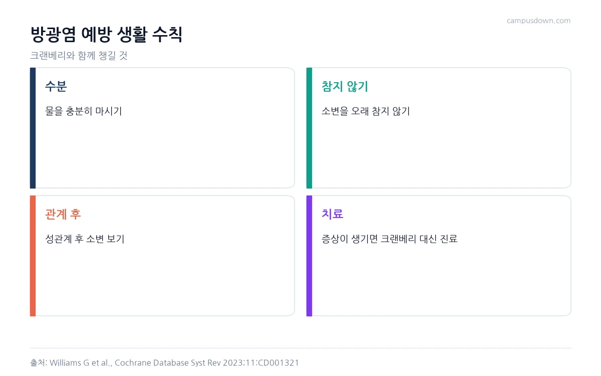 방광염 예방을 위한 수분 섭취, 소변 참지 않기, 성관계 후 소변 보기, 증상 시 진료를 정리한 인포그래픽