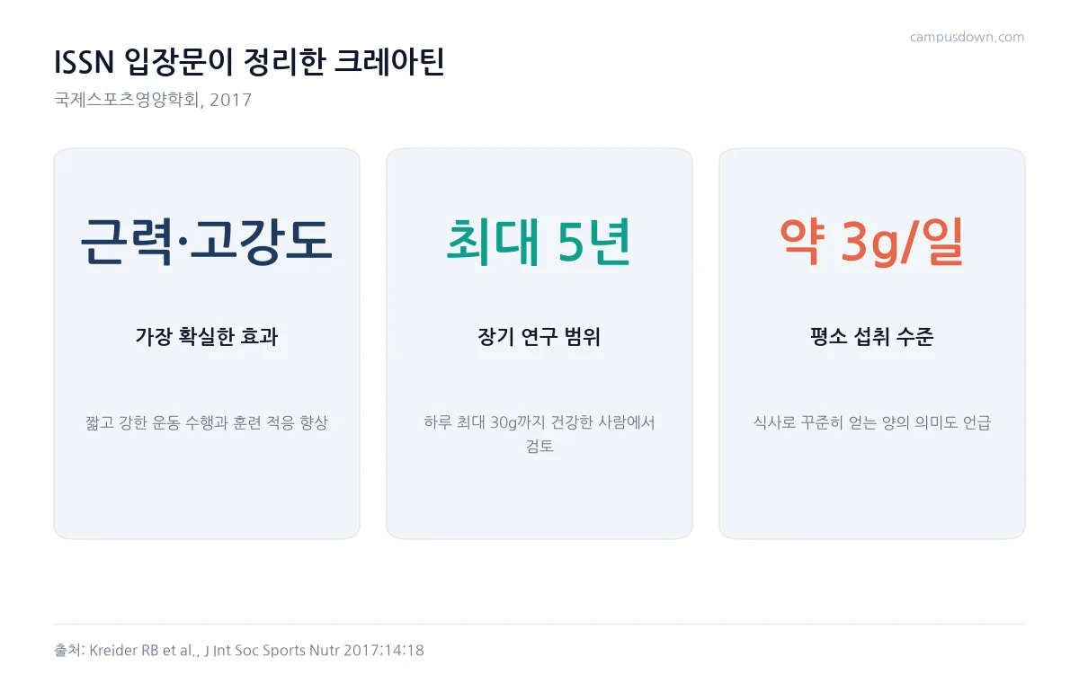 국제스포츠영양학회 입장문에서 정리한 크레아틴의 주요 효과와 안전성 연구 범위, 평소 섭취 수준을 카드로 정리한 인포그래픽
