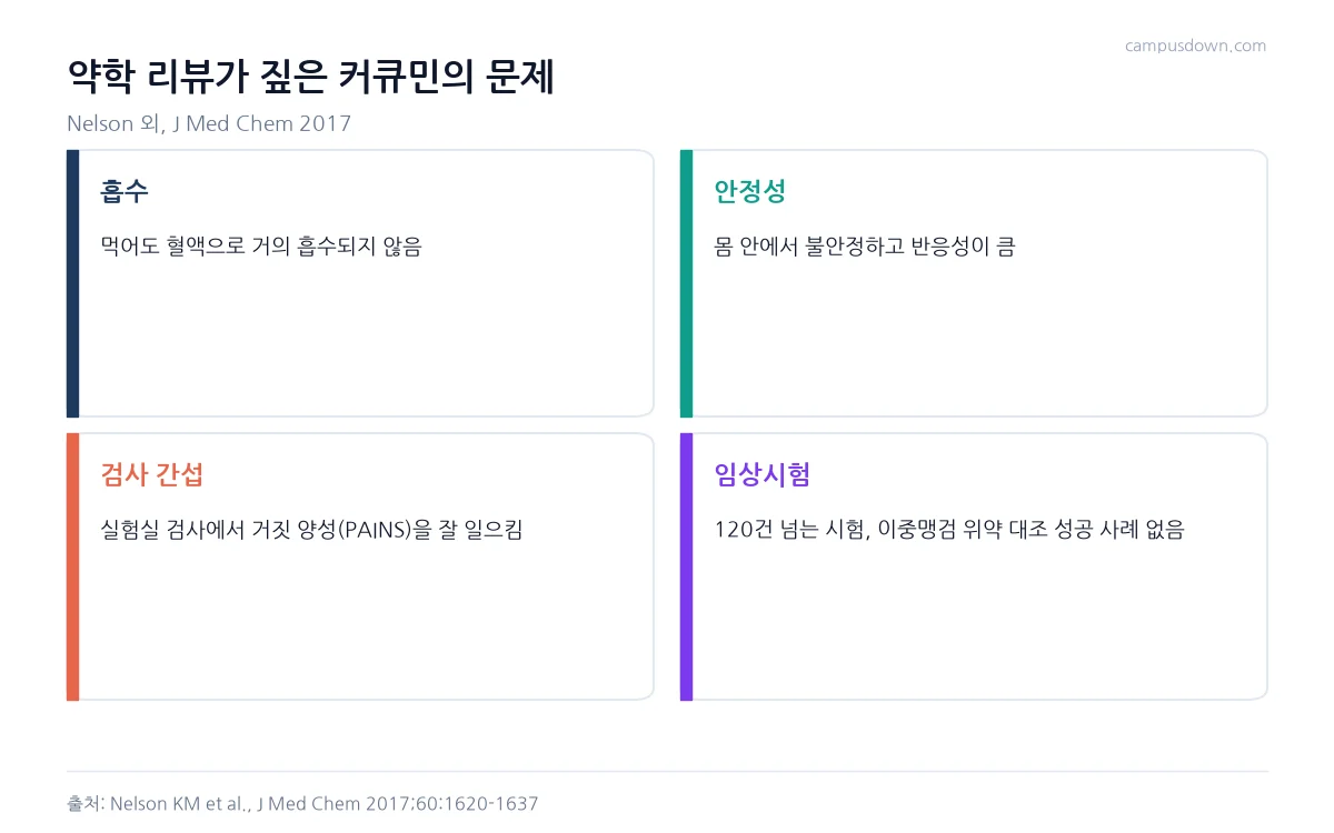 커큐민의 낮은 흡수율, 불안정성, 검사 간섭, 임상시험 결과 문제를 네 칸으로 정리한 인포그래픽