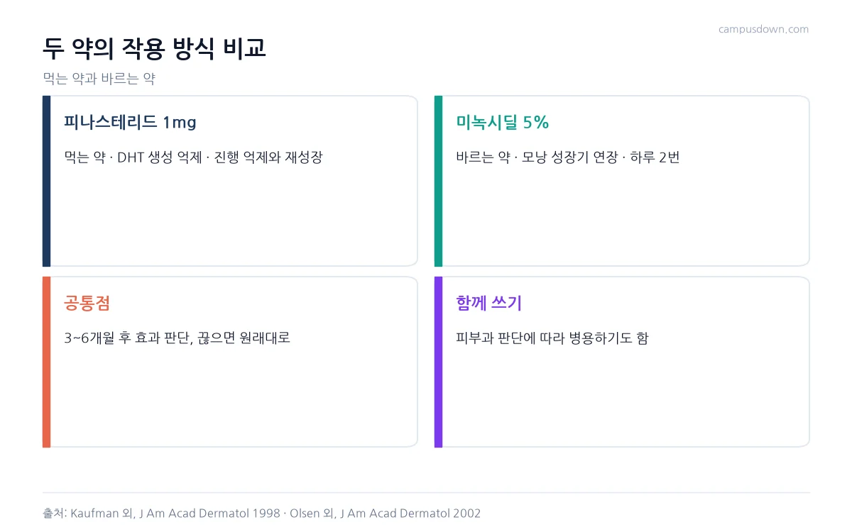 피나스테리드와 미녹시딜의 작용 방식, 사용법, 공통점, 병용 가능성을 비교한 인포그래픽
