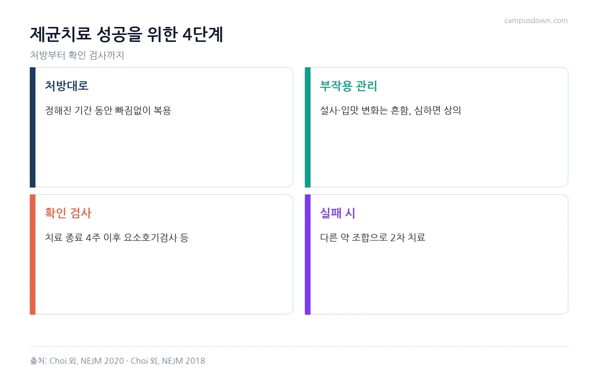 헬리코박터 제균치료 성공을 위한 처방대로 복용, 부작용 관리, 확인 검사, 실패 시 2차 치료의 4단계 인포그래픽