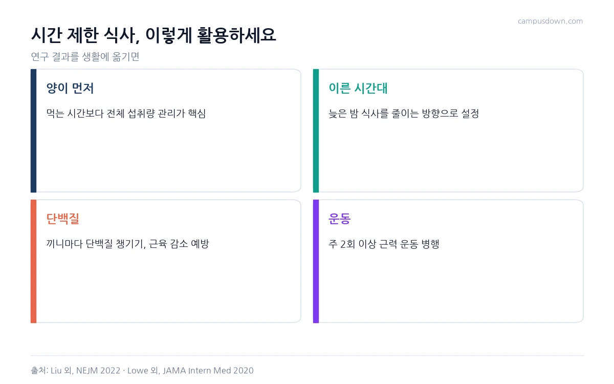 시간제한 식사 활용법으로 섭취량 관리, 이른 시간대, 단백질, 근력 운동을 정리한 인포그래픽