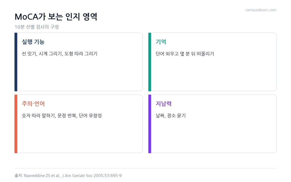 MoCA 검사가 실행 기능, 기억, 주의와 언어, 지남력 영역을 평가한다는 것을 정리한 인포그래픽
