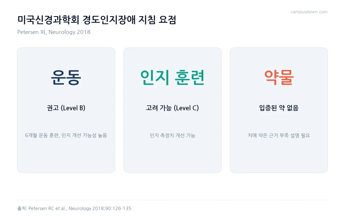 미국신경과학회 지침에서 운동 권고, 인지 훈련 고려 가능, 경도인지장애에 입증된 약 없음을 정리한 카드