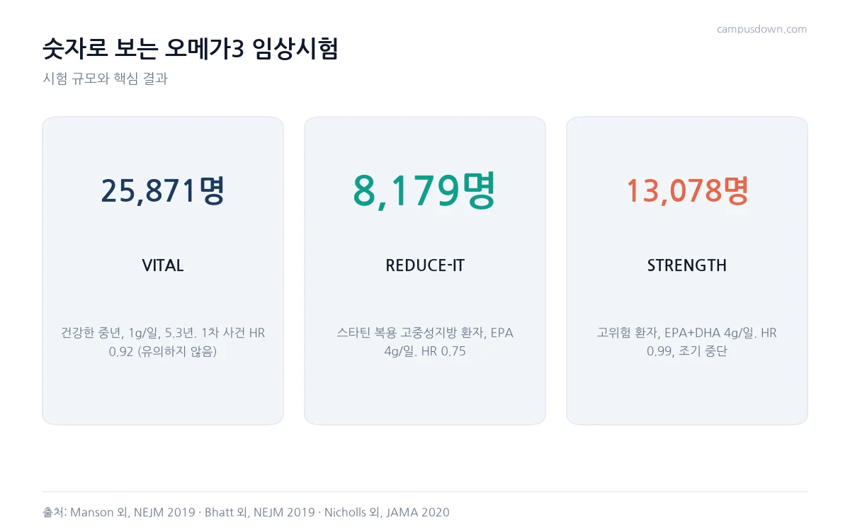 VITAL, REDUCE-IT, STRENGTH 세 임상시험의 참여자 수와 핵심 결과를 카드 형태로 정리한 인포그래픽