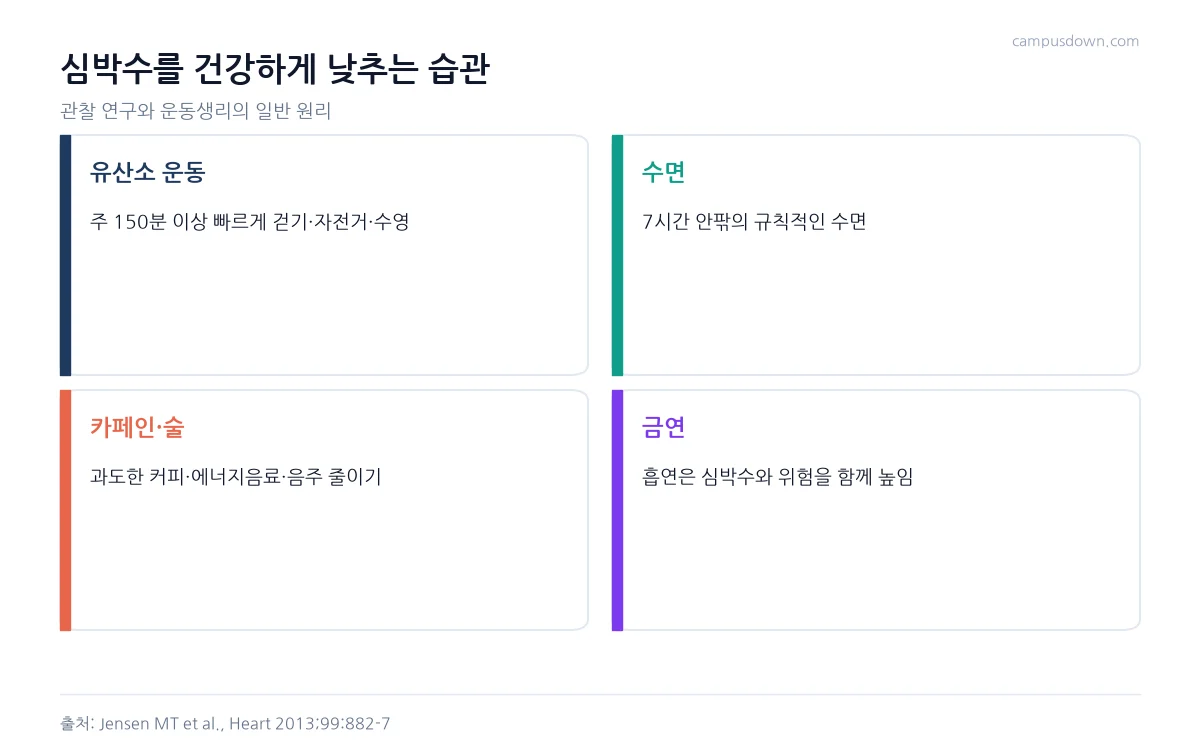 심박수를 건강하게 낮추는 유산소 운동, 수면, 카페인과 술 줄이기, 금연 습관을 정리한 인포그래픽