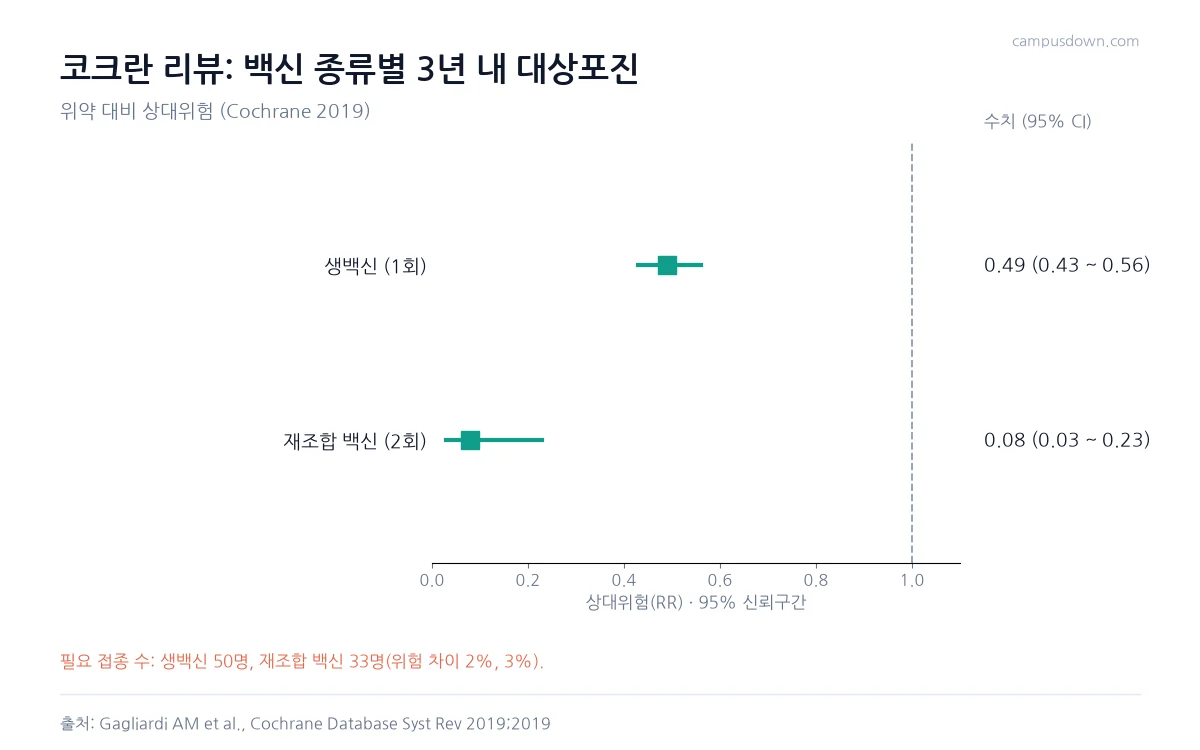 코크란 리뷰에서 대상포진 상대위험이 생백신 0.49, 재조합 백신 0.08임을 보여 주는 포리스트 그래프