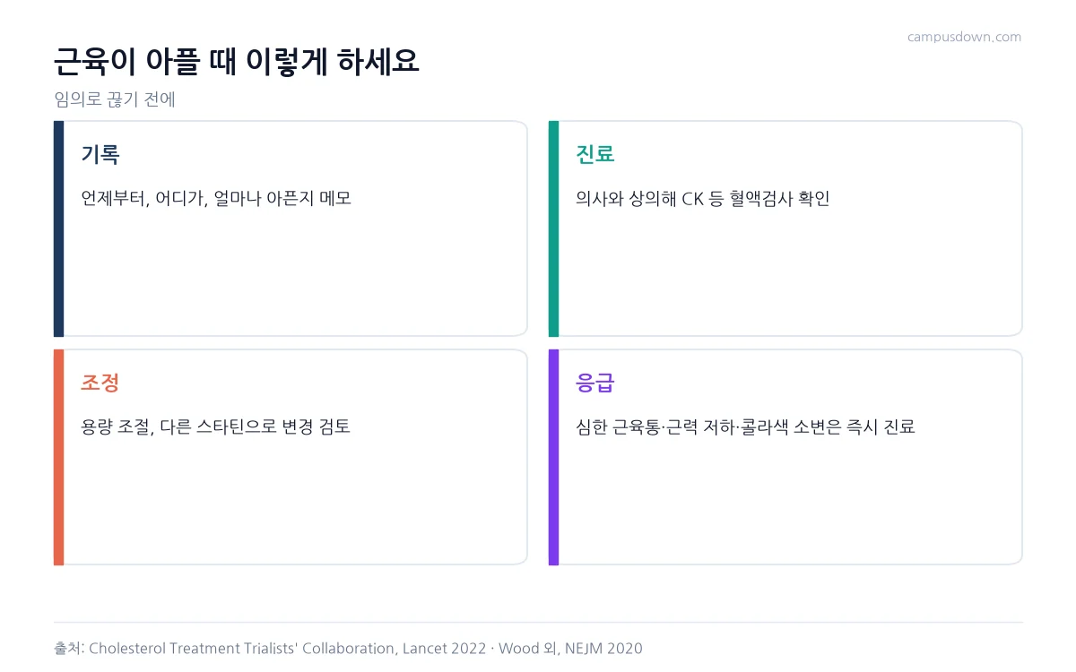 스타틴 복용 중 근육통이 있을 때 기록, 진료, 약 조정, 응급 신호를 정리한 인포그래픽